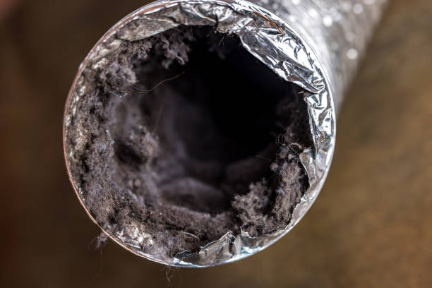 Best Affordable Duct Cleaning Services  in Nd Lake, WI